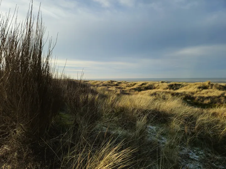 Oostnieuwkerke duinen wandeling in de koude (België)